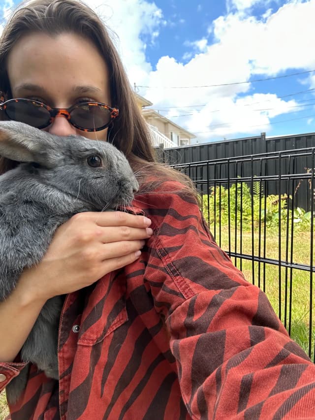 The Little Rascals owner holding a grey rabbit outdoors