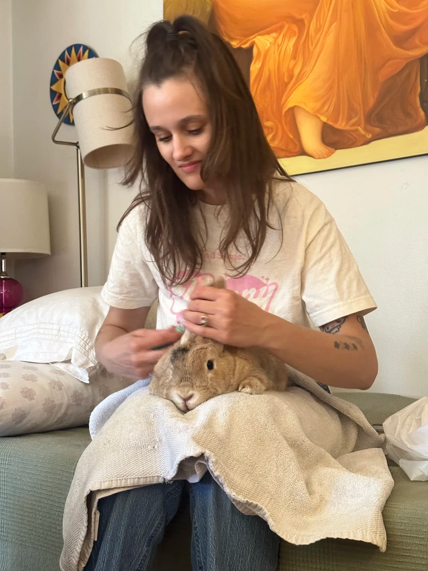 The Little Rascals owner calmly grooming a relaxed tan rabbit
