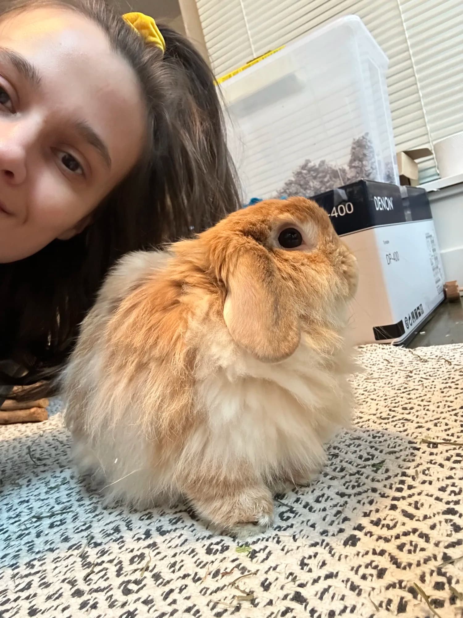 The Little Rascals owner with a fluffy tan rabbit
