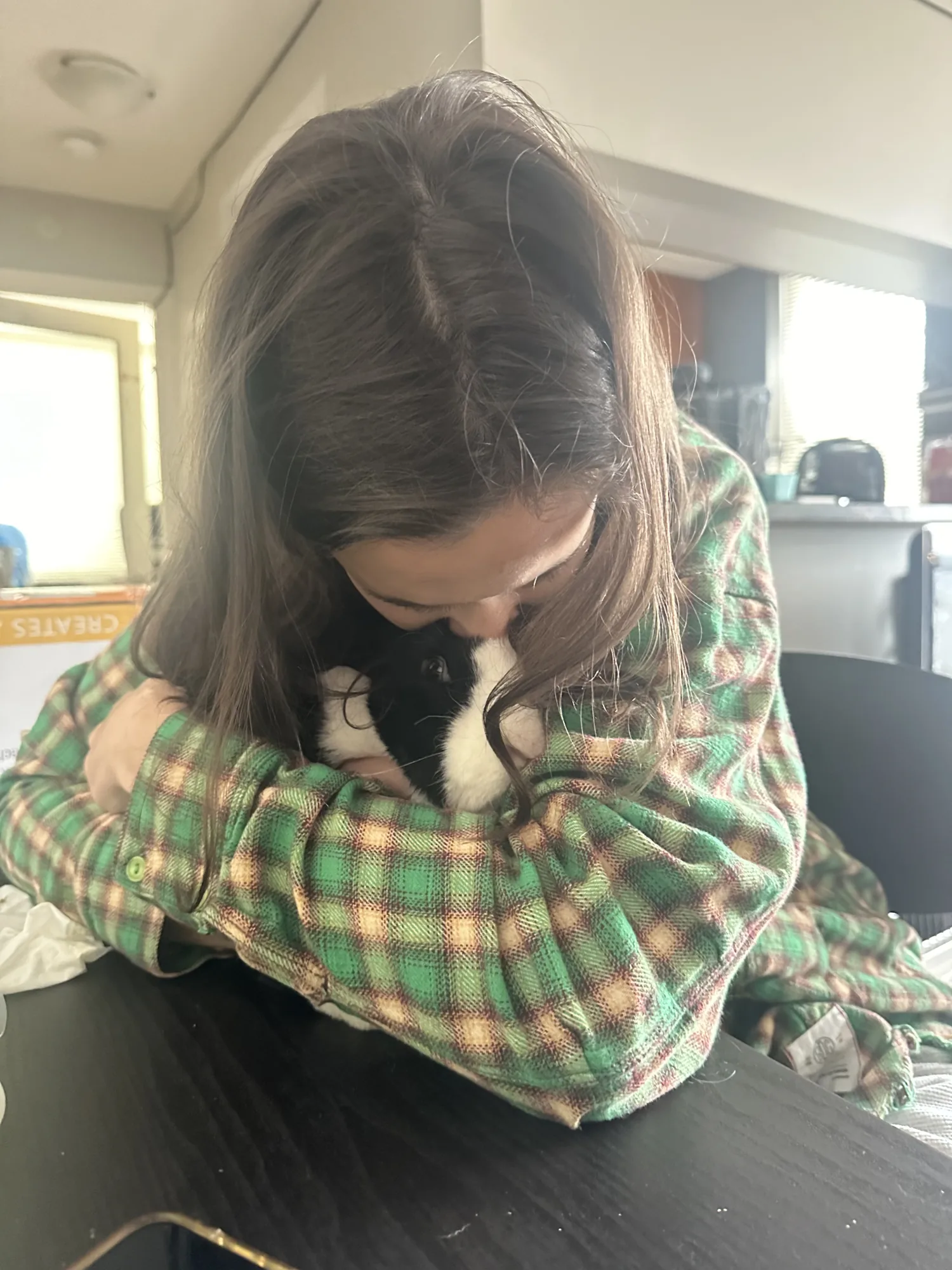 The Little Rascals owner gently cuddling a black and white rabbit